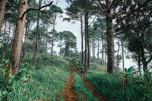 BIB: 
                            <button type="button" onclick="openModal(25652327)" class="btn btn-primary btn-sm float-right btn-popup" data-toggle="modal" data-target=".modal-high-quality">
                        <i class="fas fa-shopping-cart"></i> Add to Cart
                    </button>
                                            <button type="button" onclick="isThisMe(25652327, true)" class="btn btn-success btn-sm float-right btn-popup btn-isme hidden" data-toggle="tooltip" data-placement="bottom" title="นี่คือรูปของคุณใช่ไหม คลิกที่นี่เพื่อเอาเข้าอัลบั้ม">
                        <i class="fas fa-plus"></i> Add to album
                    </button>
                    <button type="button" onclick="isThisMe(25652327, false)" class="btn btn-warning btn-sm float-right btn-popup btn-isnotme hidden">
                        <i class="fas fa-ban"></i> Remove from album
                    </button>